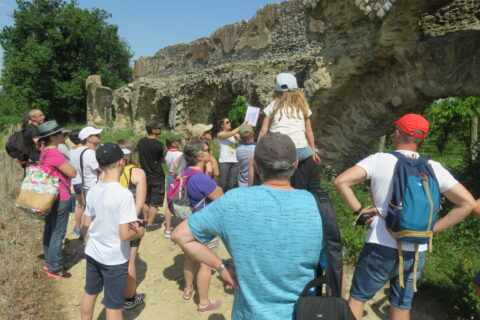 Visites guidées groupes adultes