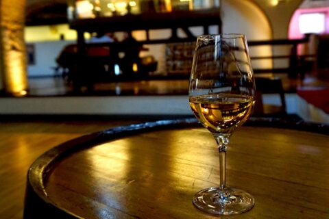 Activités autour du vin