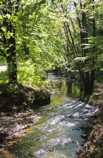 Vallée en barret