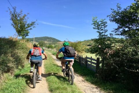 Activités sportives