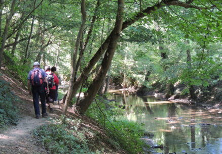 pont siphon