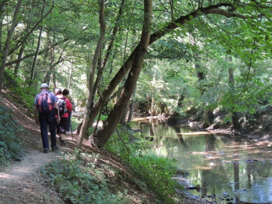 pont siphon