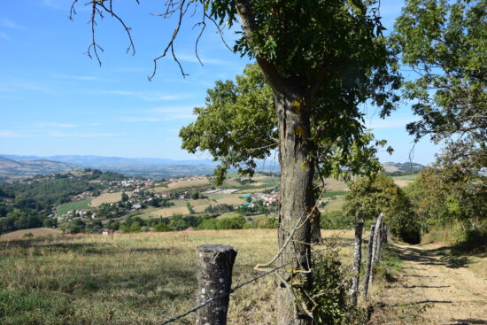 chemin_rando_splp (2)