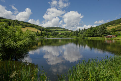 Parcs et étangs