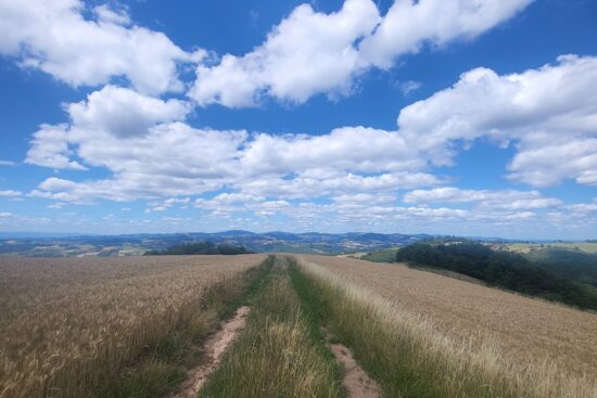 grezieulemarche-paysage-ete-w-rollet02