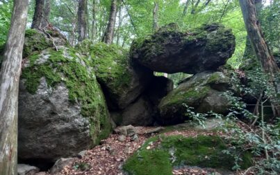 Sur les traces du mégalithisme dans les Monts du Lyonnais