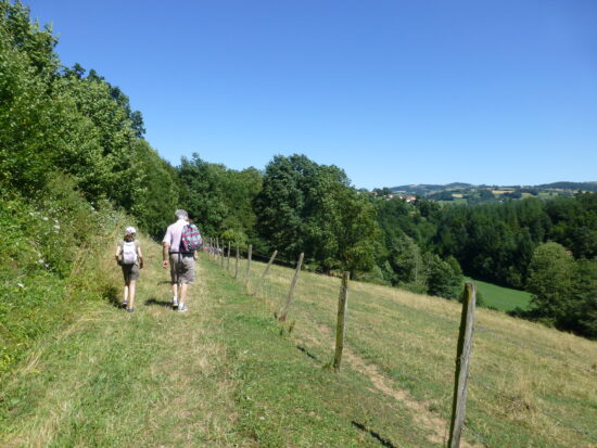 Chemin_Saint_Jacques-StSymsurCoise-OTMDL (2)