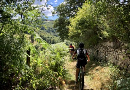 vtt3_crédit_Aurelien DESCHAMPS