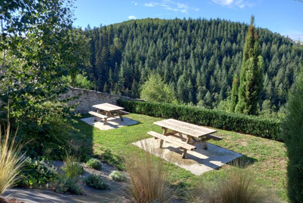 Top 10 des lieux de pique-nique