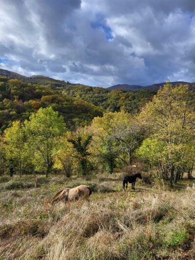 mespiedssurterre-paysage-campagne-12-©OTIMDL