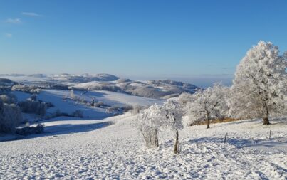 L'hiver, la nature est votre meilleure alliée pour un moral au top !