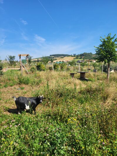 ferme_mielifique©OTIMDL (22)