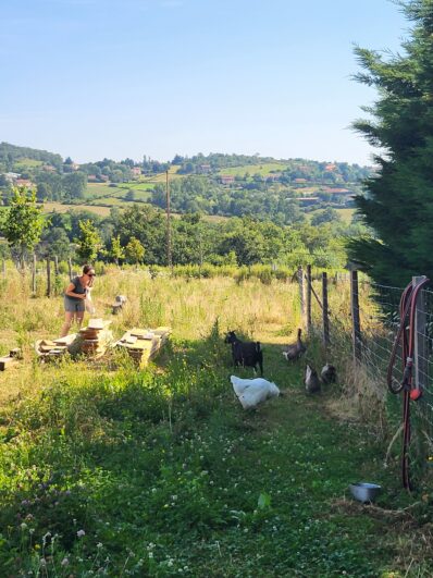 ferme_mielifique©OTIMDL (28)