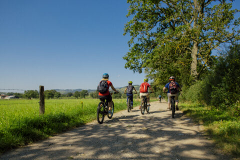 Le Grand Tour des Monts du Lyonnais à VTT - GTML