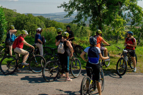 Activités sportives groupes adultes
