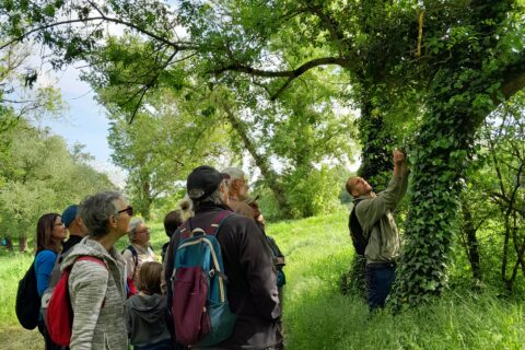 Activités nature groupes adultes