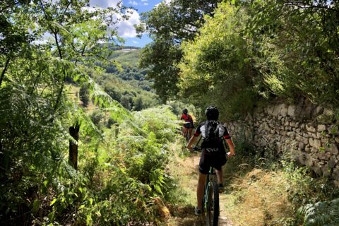 La Grande Traversée du Rhône à VTT - GTR