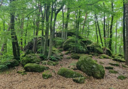 La Roche Mathiole